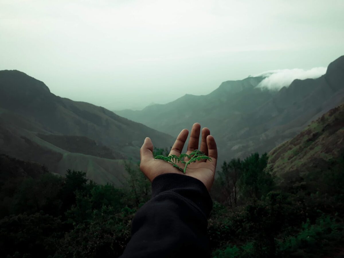 A hand holding a small green leaf against a misty mountain backdrop, symbolizing nature's tranquility.